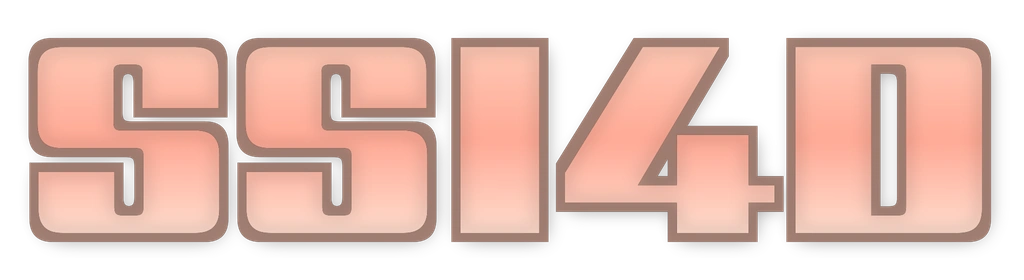 SSI4D